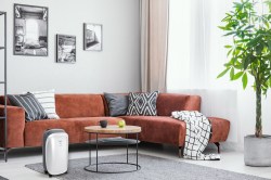 2020_Funai_Neko_S_GREY_interior_02