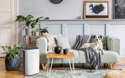 carisma-loft-rd-cr-09